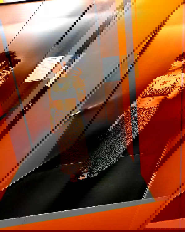 shanikaneko image ~ Altpins