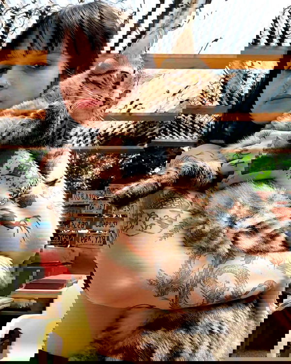 shanikaneko image ~ Altpins