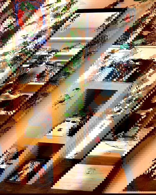 shanikaneko image ~ Altpins