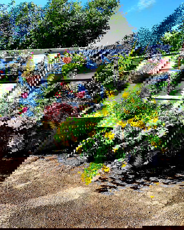 shanikaneko image ~ Altpins