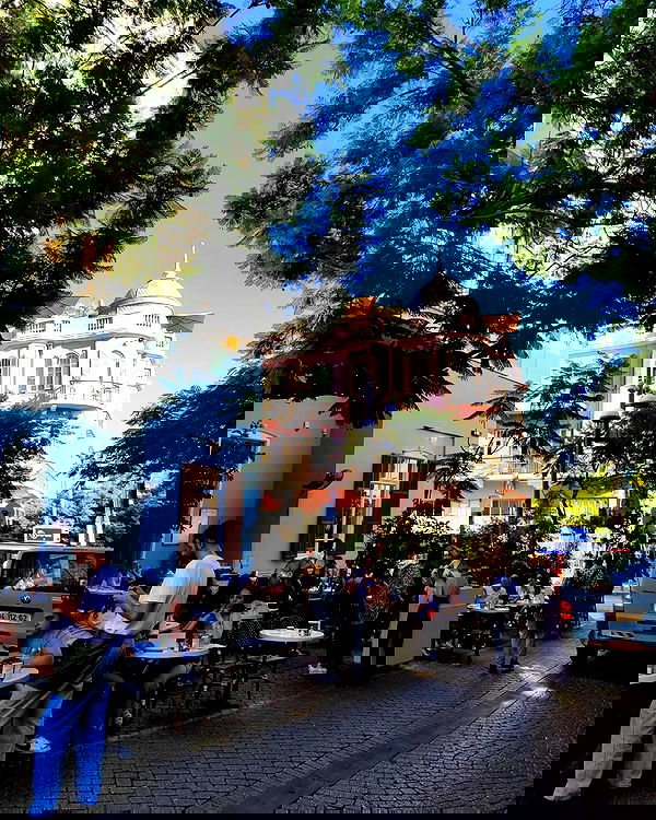 shanikaneko image ~ Altpins