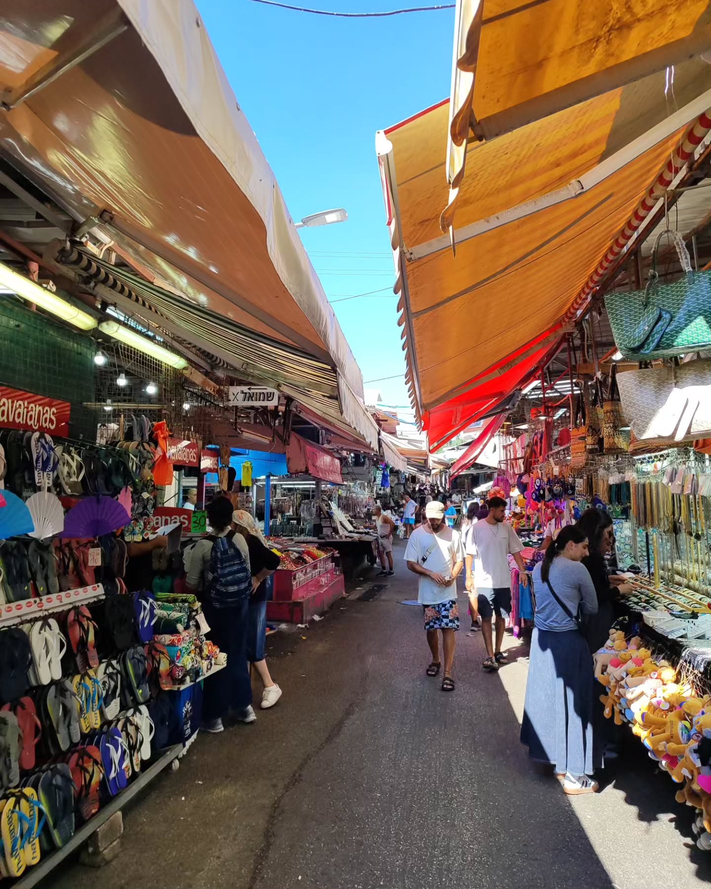 shanikaneko instagram image archive image