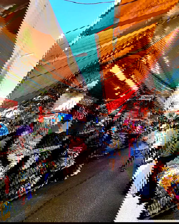 shanikaneko image ~ Altpins