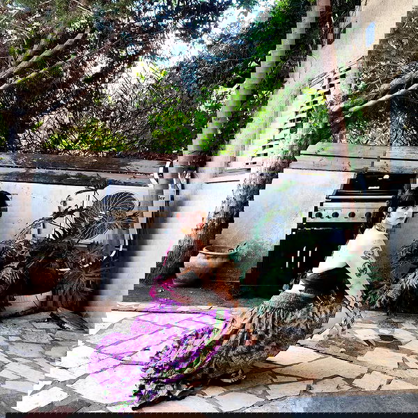 shanikaneko image ~ Altpins