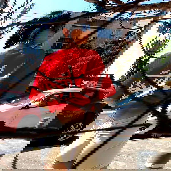 shanikaneko image ~ Altpins