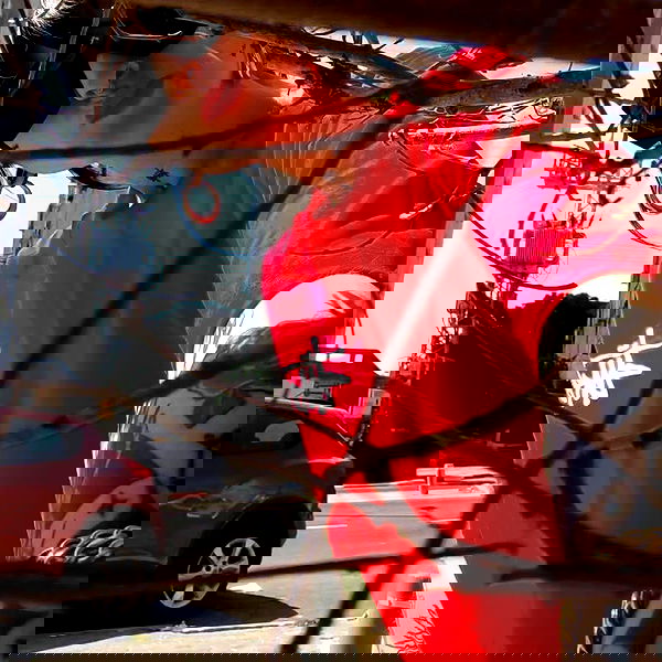 shanikaneko image ~ Altpins