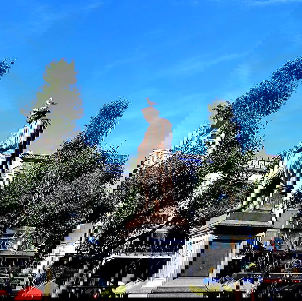 shanikaneko image ~ Altpins