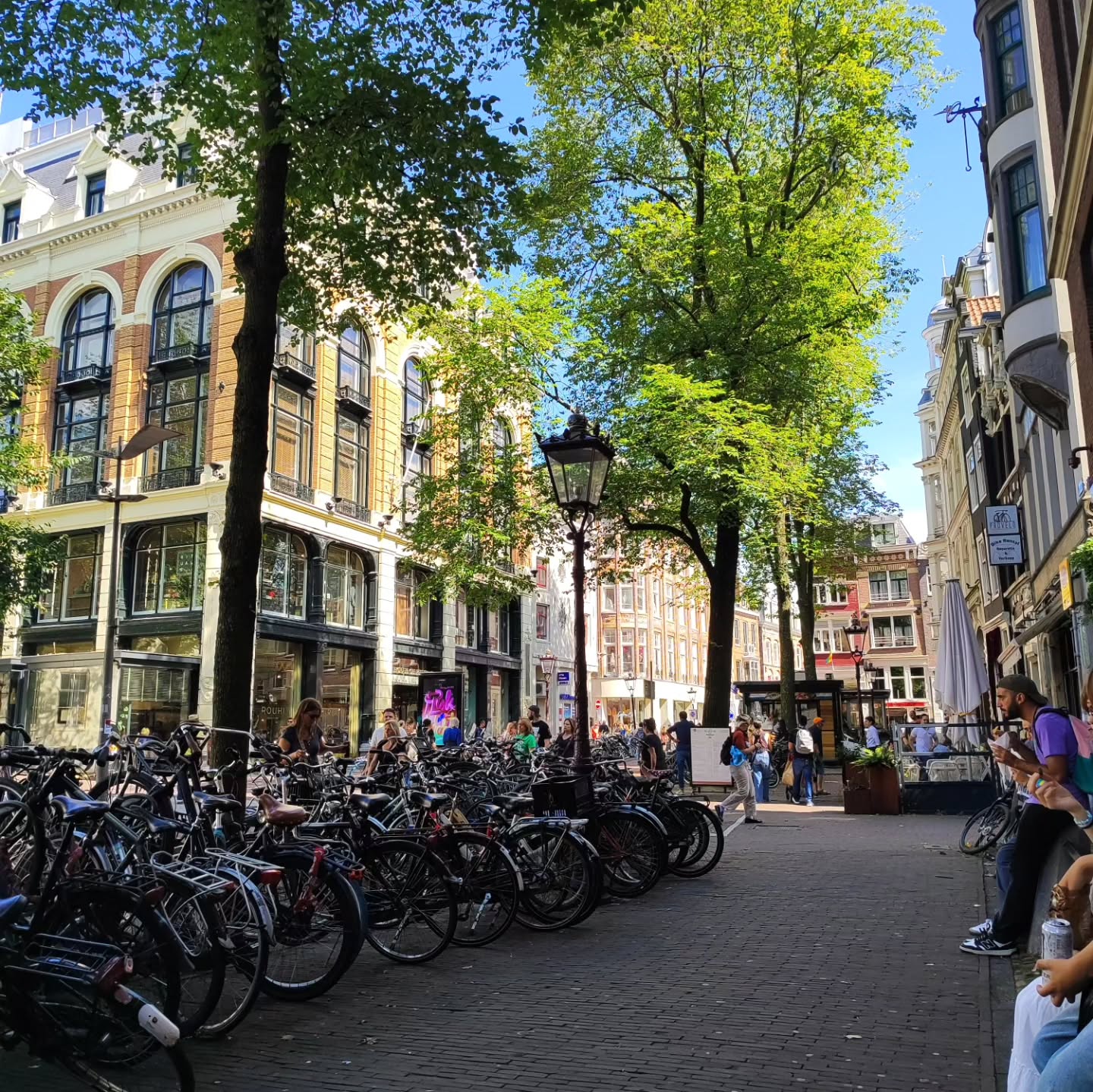 shanikaneko instagram image archive image