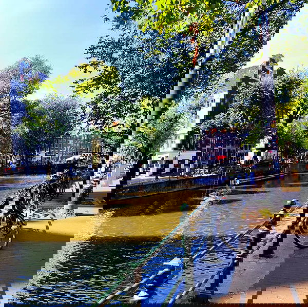 shanikaneko image ~ Altpins