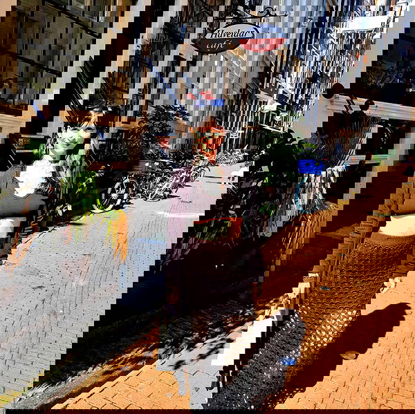 shanikaneko image ~ Altpins