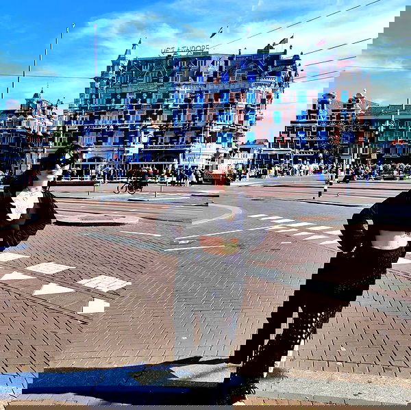 shanikaneko image ~ Altpins