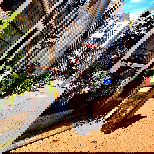 shanikaneko image ~ Altpins