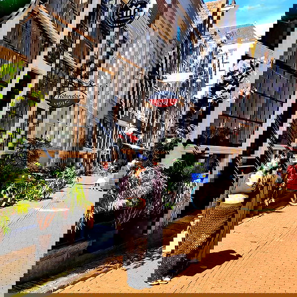 shanikaneko image ~ Altpins