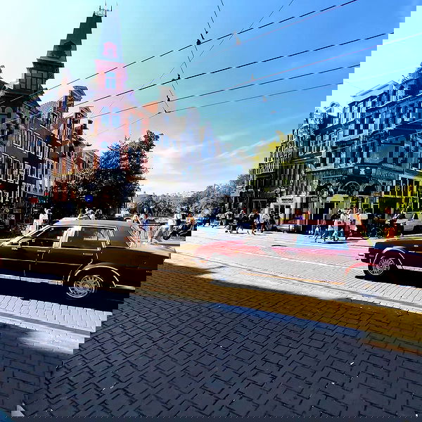 shanikaneko image ~ Altpins