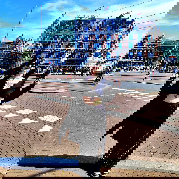 shanikaneko image ~ Altpins