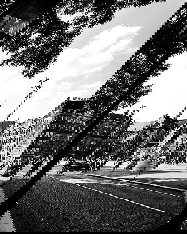 shanikaneko image ~ Altpins