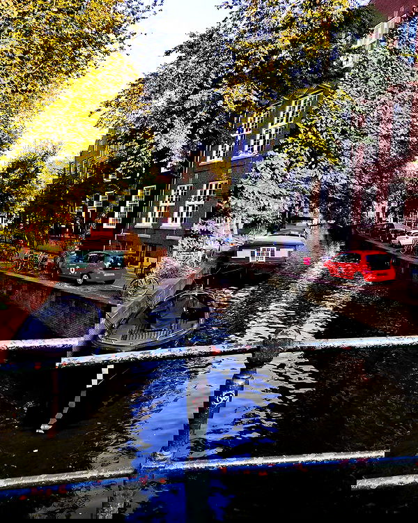 shanikaneko image ~ Altpins