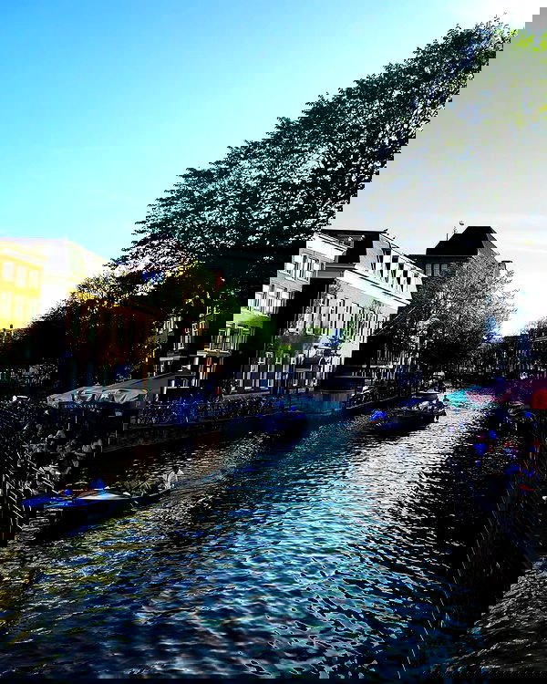 shanikaneko image ~ Altpins