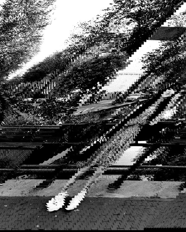 shanikaneko image ~ Altpins