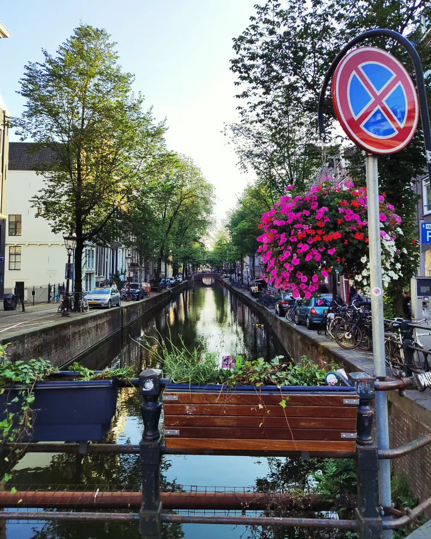 shanikaneko instagram image archive image