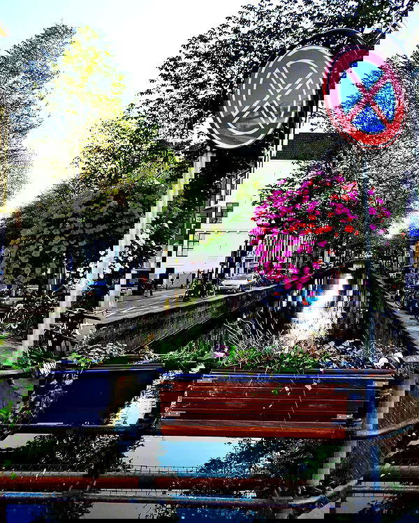 shanikaneko image ~ Altpins