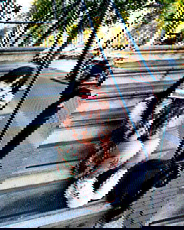 shanikaneko image ~ Altpins