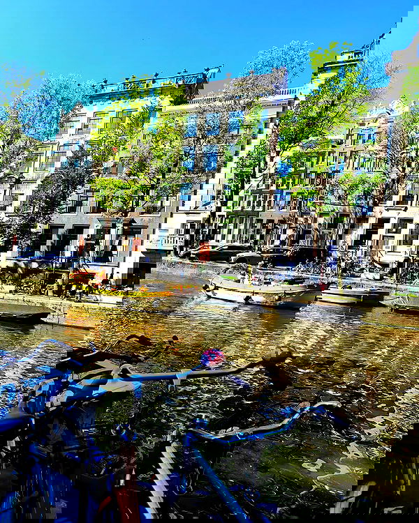 shanikaneko image ~ Altpins