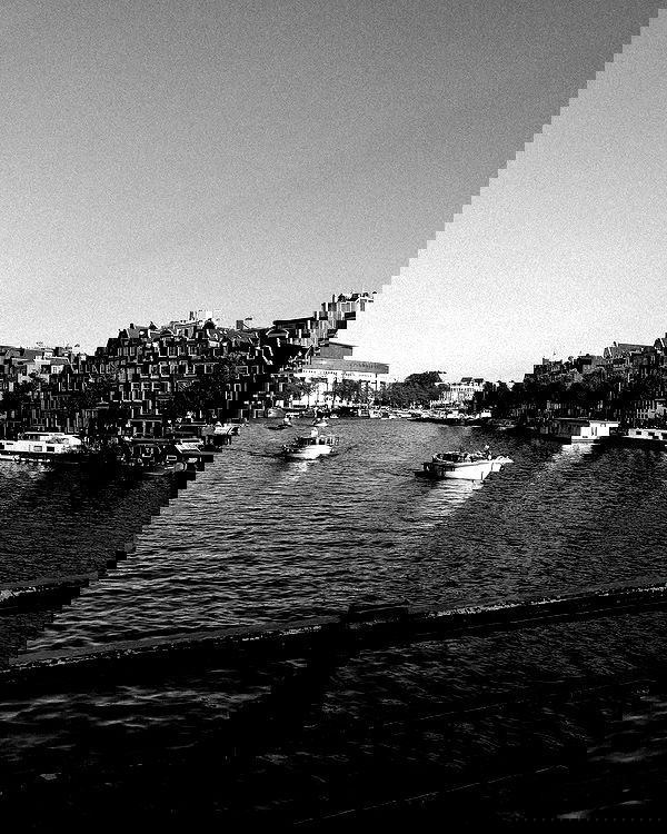 shanikaneko image ~ Altpins