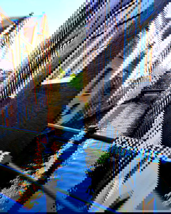 shanikaneko image ~ Altpins