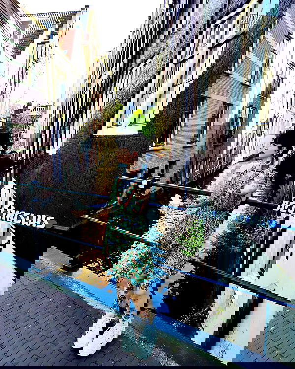 shanikaneko image ~ Altpins