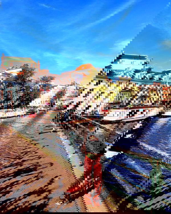 shanikaneko image ~ Altpins