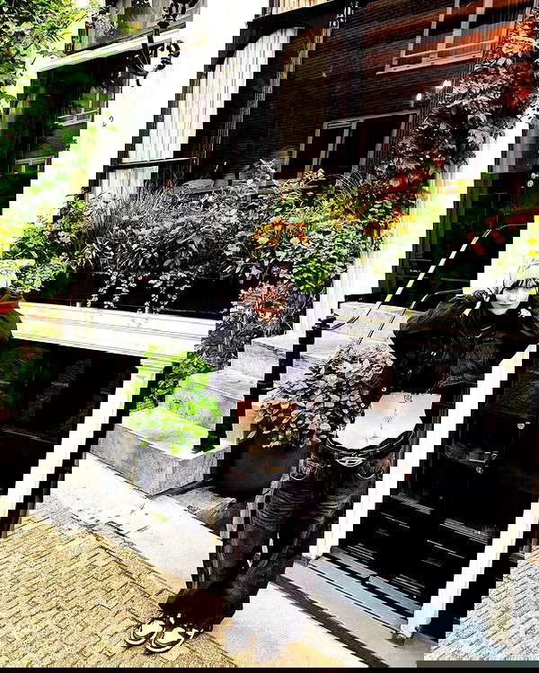 shanikaneko image ~ Altpins