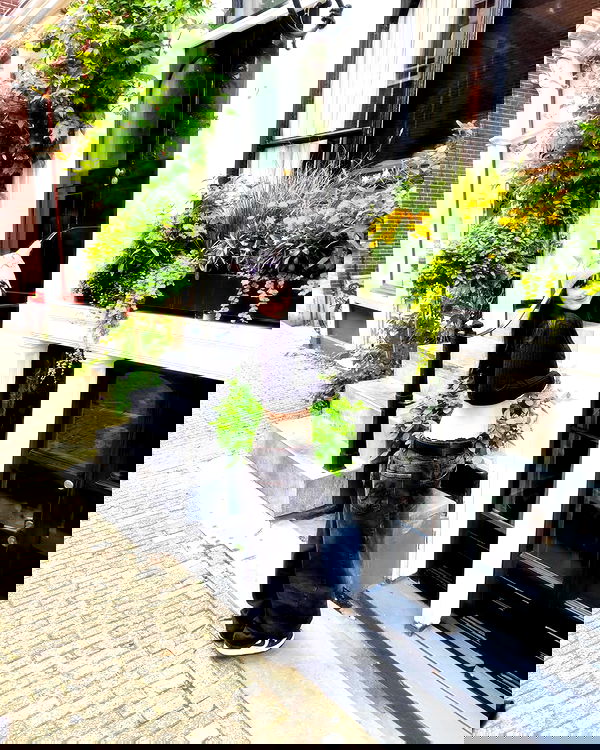 shanikaneko image ~ Altpins