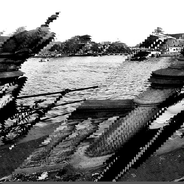 shanikaneko image ~ Altpins