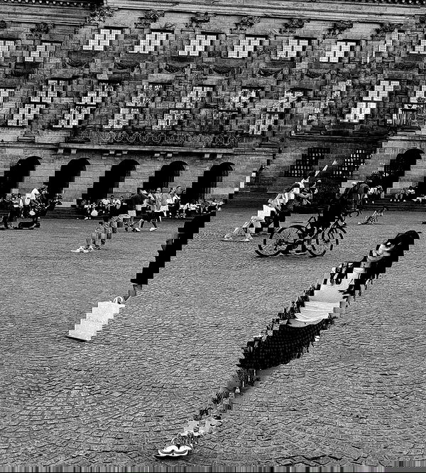 shanikaneko image ~ Altpins