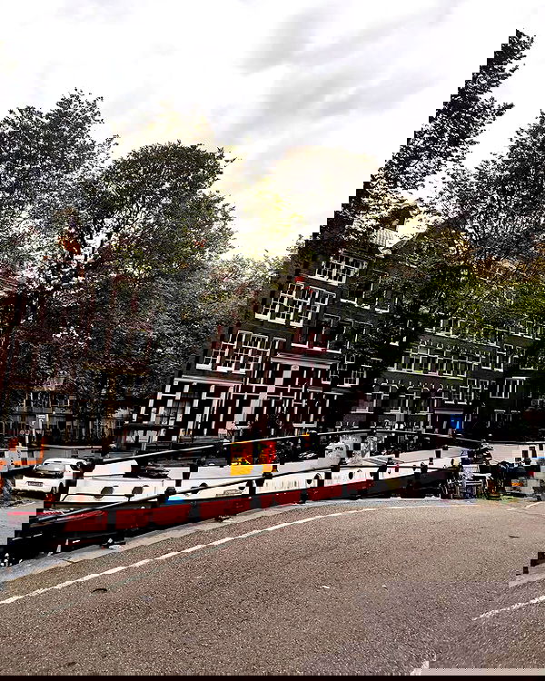 shanikaneko image ~ Altpins