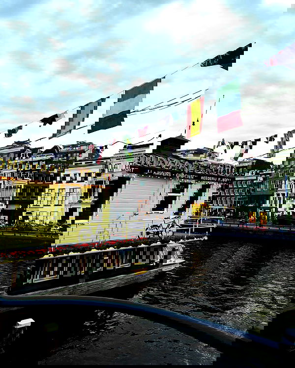 shanikaneko image ~ Altpins