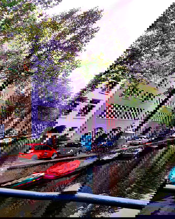 shanikaneko image ~ Altpins