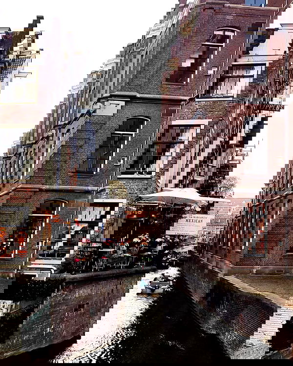 shanikaneko image ~ Altpins