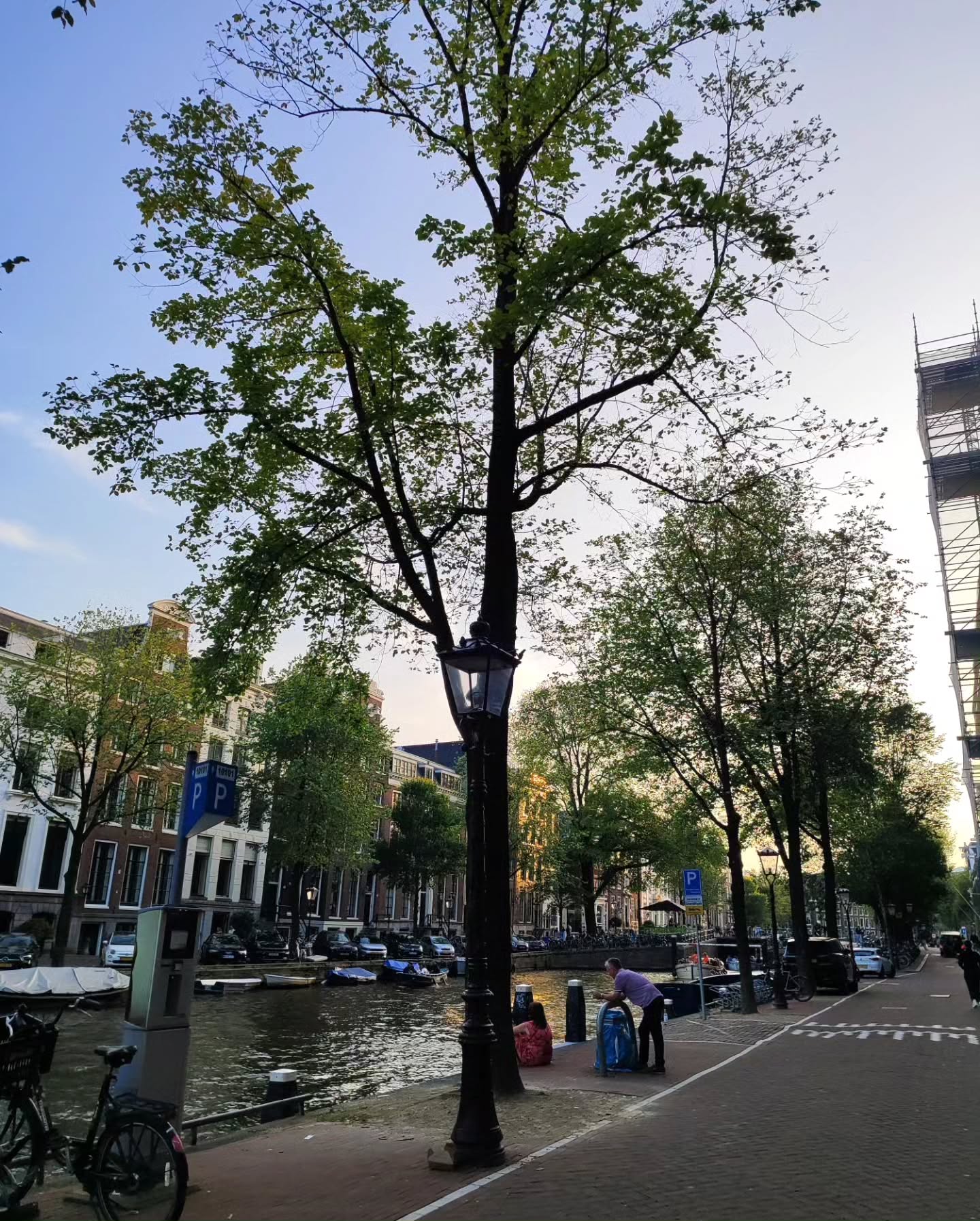 shanikaneko instagram image archive image