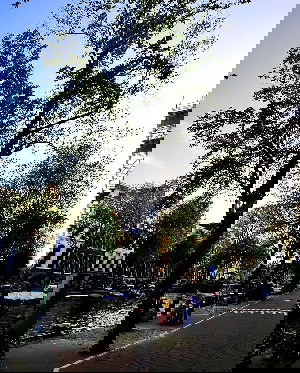 shanikaneko image ~ Altpins