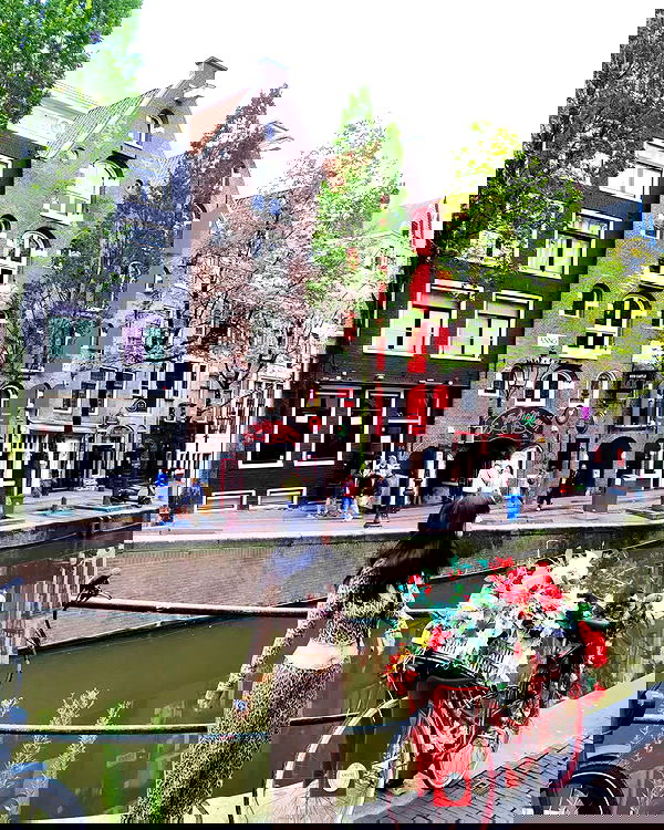 shanikaneko image ~ Altpins