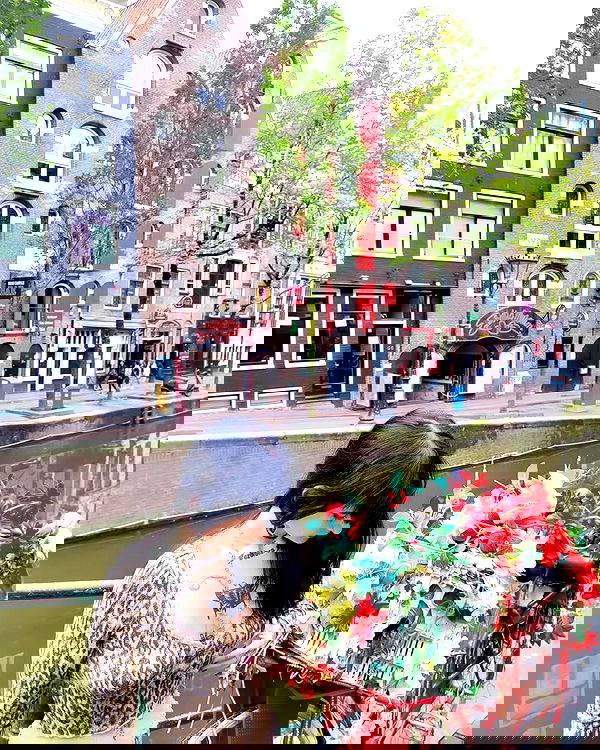 shanikaneko image ~ Altpins