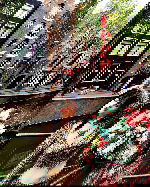 shanikaneko image ~ Altpins