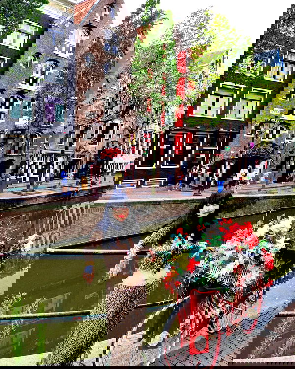 shanikaneko image ~ Altpins