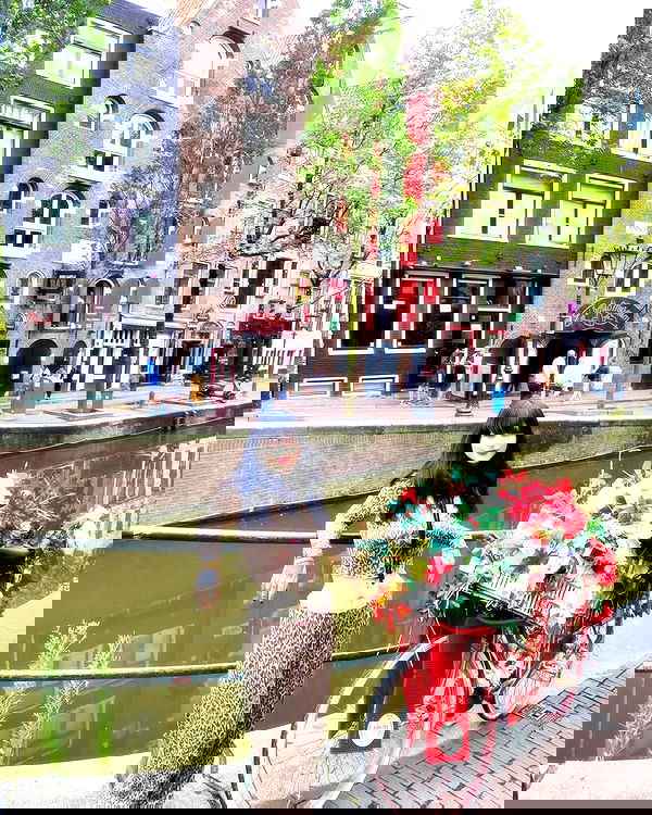 shanikaneko image ~ Altpins