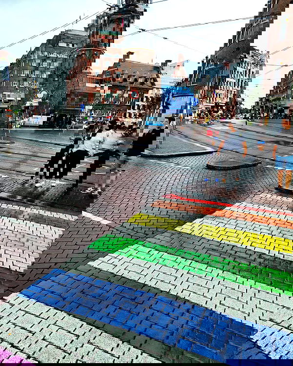 shanikaneko image ~ Altpins