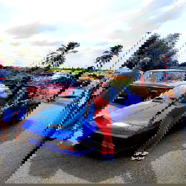 shanikaneko image ~ Altpins