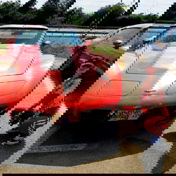 shanikaneko image ~ Altpins