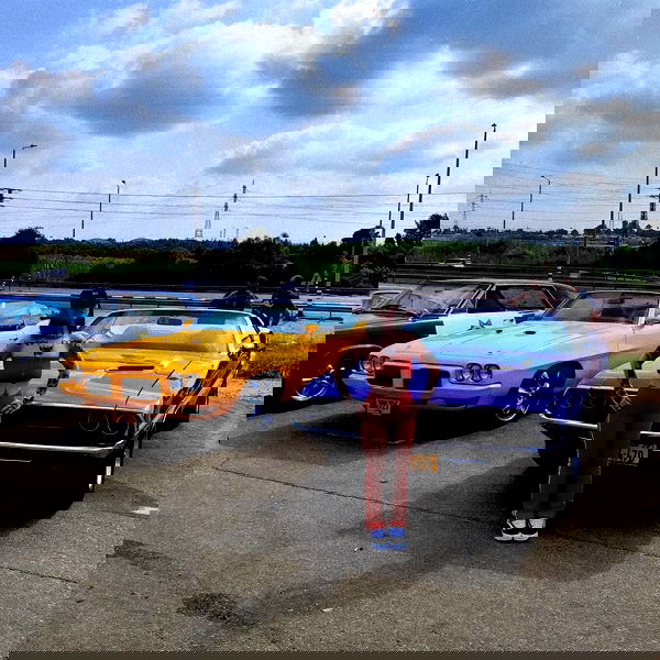 shanikaneko image ~ Altpins